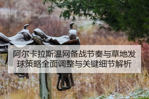 a-er-ka-la-si-wen-wang-bei-zhan-jie-zou-yu-cao-di-fa-qiu-ce-lve-quan-mian-tiao-zheng-yu-guan-jian-xi-jie-jie-xi-2-776.jpg