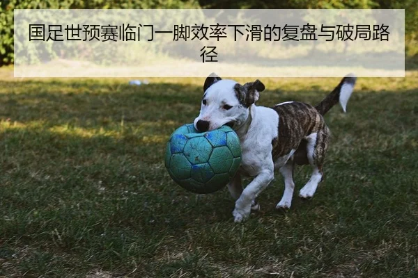 国足世预赛临门一脚效率下滑的复盘与破局路径